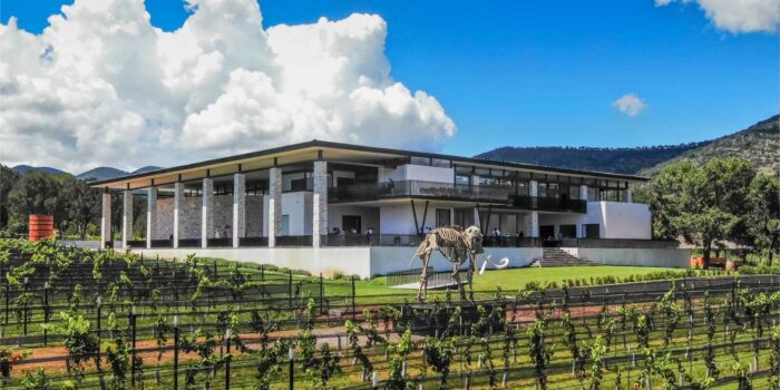 Entre vinos, dinos y montañas