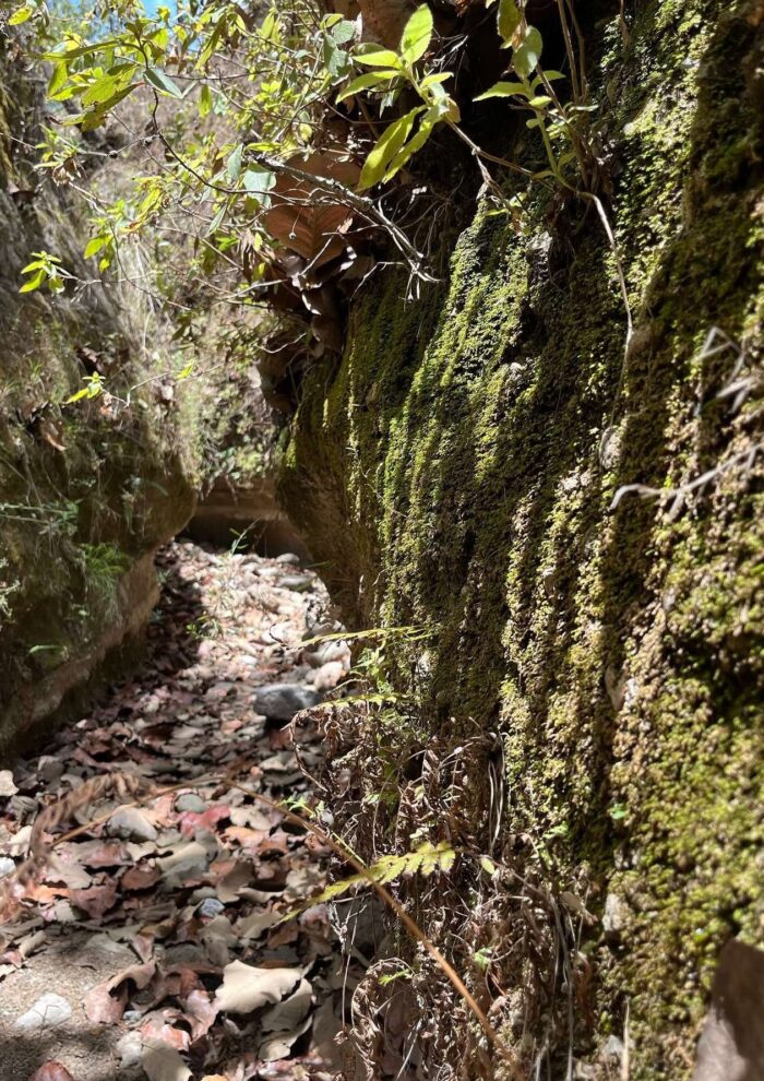 Muro de los Gigantes