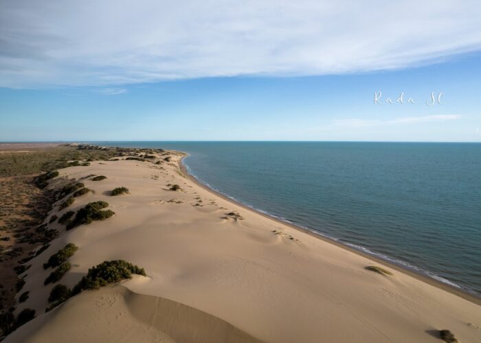 Playa El Cardonal y Dunas del Sahuimaro