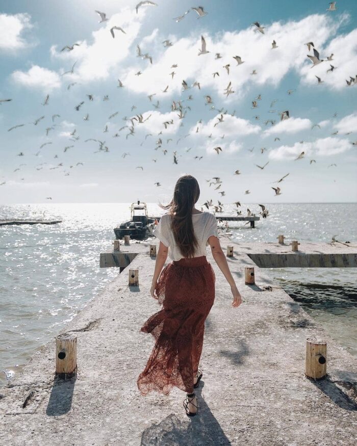 Encuentro con la biodiversidad en la casa del cocodrilo