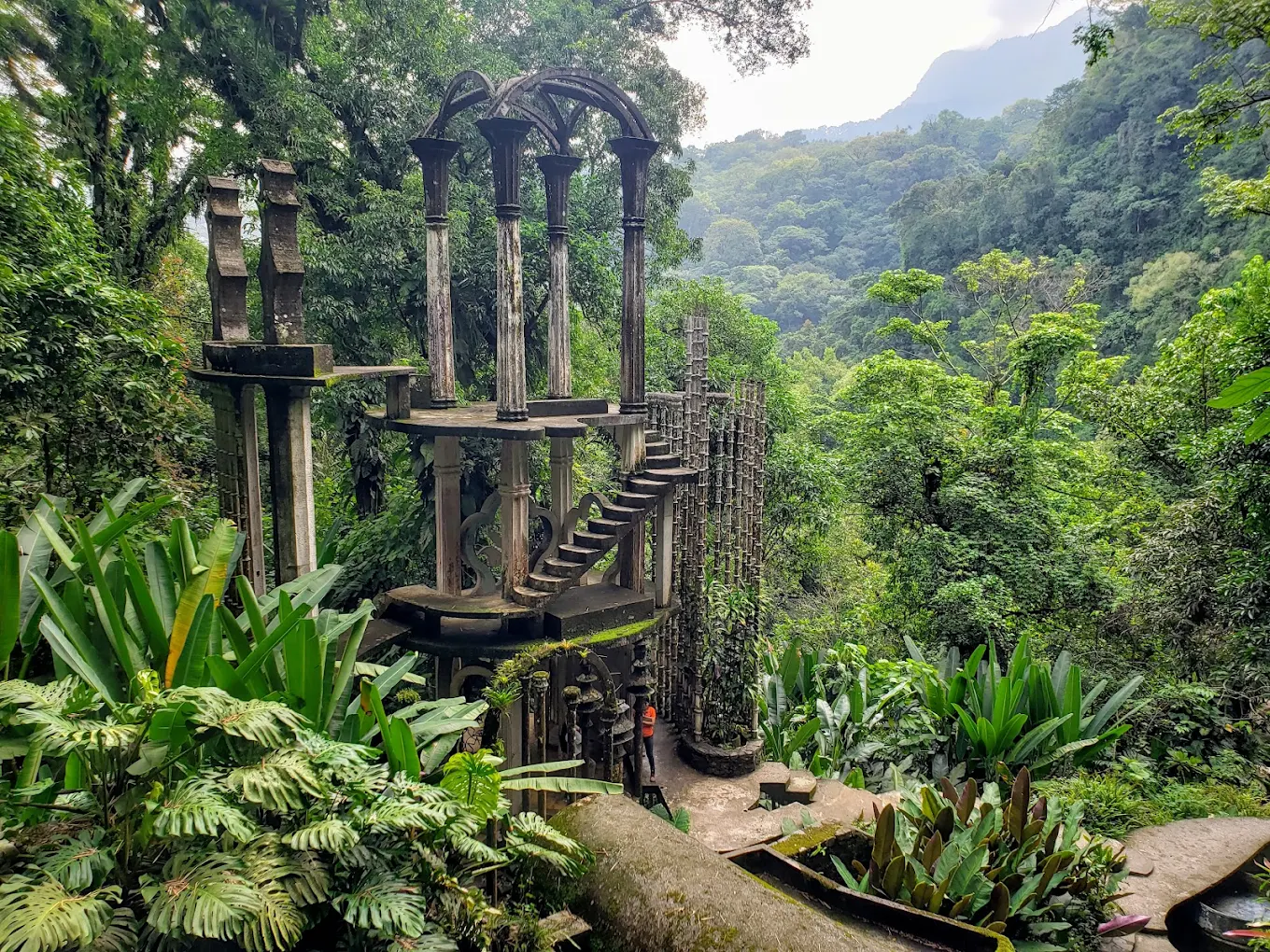Un día para disfrutar de la naturaleza