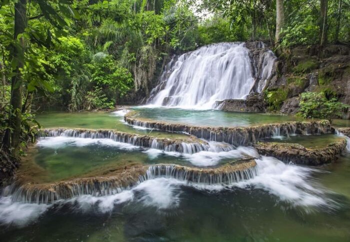 Del cacao al chocolate