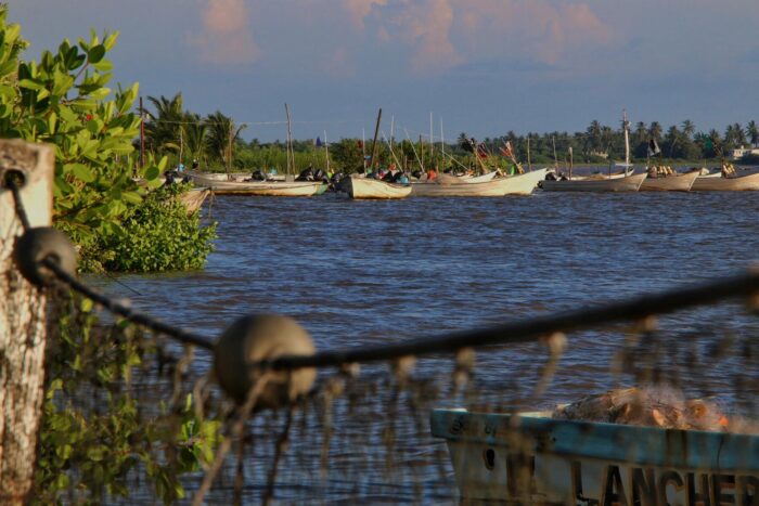 La joya de Camichín: Santiago Ixcuintla y Boca de Camichín