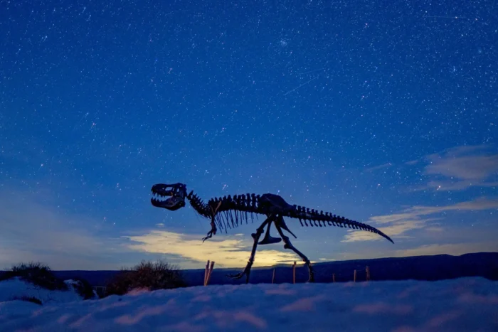 Origen de la vida y relajación total