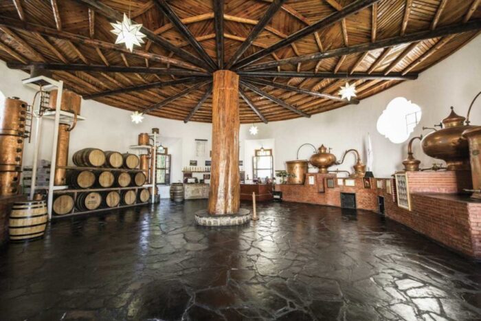 Ruta de vinos y dinos. Historia y tradición