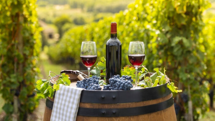 Viñedos, tradiciones y gastronomía en El Bajío