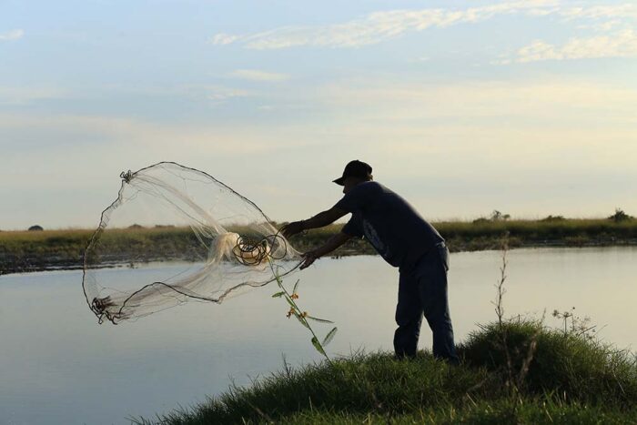 Ruta del pescador, entre tapos y manglares