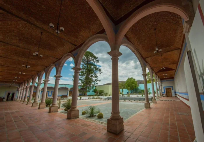 Aguascalientes mágico | Viñedo, Pueblo Mágico y paseo enoturístico