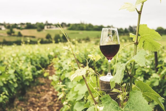 Aguascalientes, tierra de vinos, Pueblos Mágicos y haciendas mexicanas